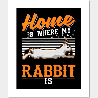 Home is where my Rabbit is 1 Posters and Art